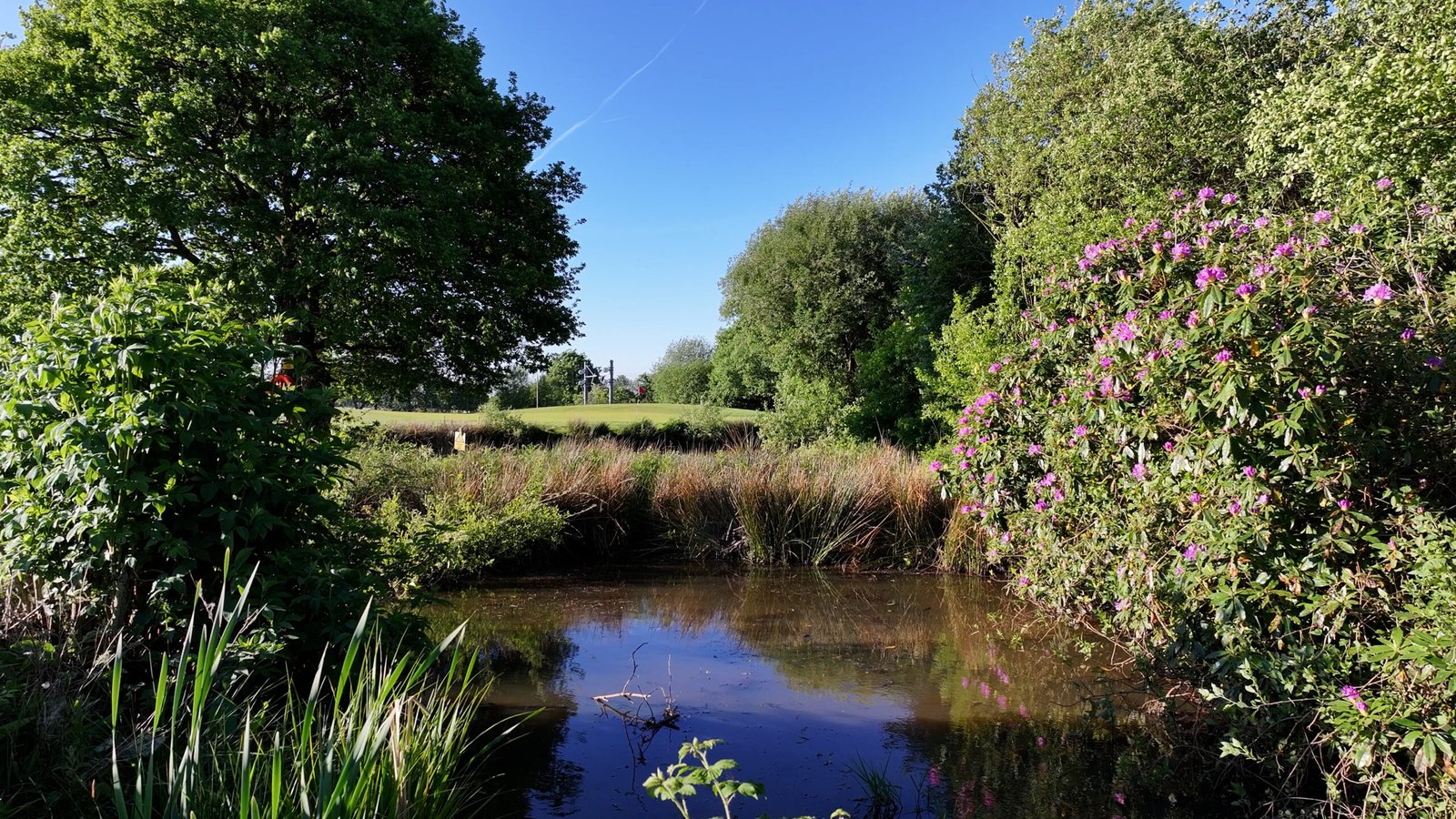 Water hazards at Westhoughton Golf Club