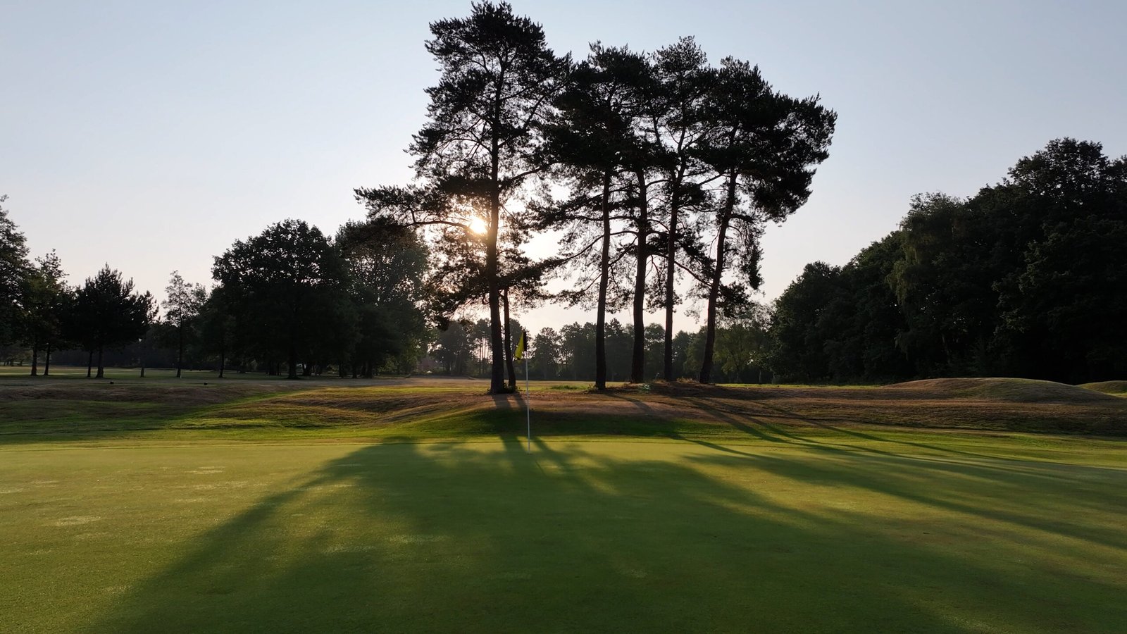 Dawn sunshine through the trees at Worsley Golf Club